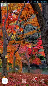 autumn leaves hd livewallpaper