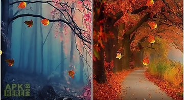 Autumn leaves hd livewallpaper