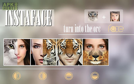 instaface :face morphing