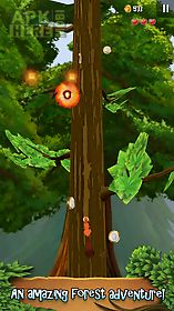 nuts!: infinite forest run