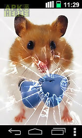 funny hamster cracked screen