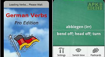 German verbs pro