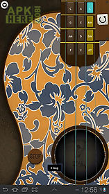 ukulele - hawaiian guitar