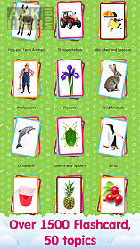 english flashcards for kids