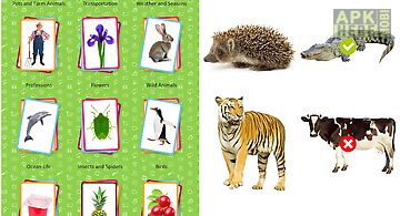 English flashcards for kids