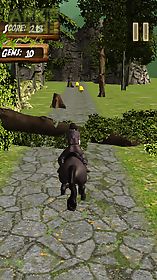 jumping horse adventure
