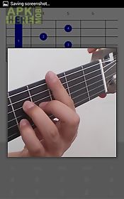 ds guitar chord