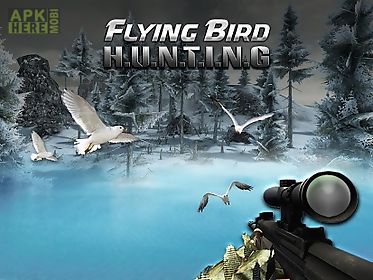 flying bird hunting