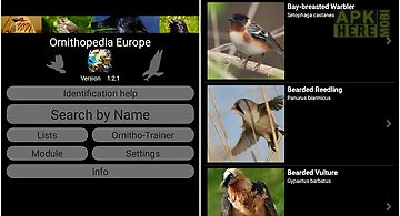 Ornithopedia europe