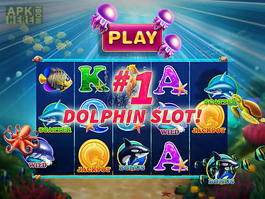 dolphin fortune - slots casino