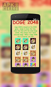 doge 2048