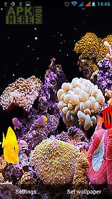 aquarium  live wallpaper