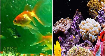 Aquarium  Live Wallpaper
