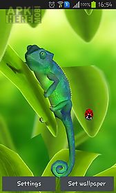 chameleon 3d live wallpaper