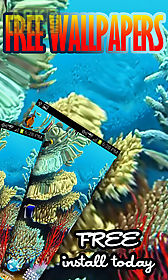 coral reef  free live wallpaper
