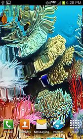 coral reef  free live wallpaper