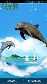 dolphin 3d live wallpaper