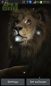lions live wallpaper