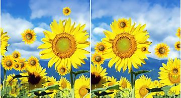 Sunflower  Live Wallpaper
