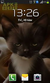 surprised kitty live wallpaper