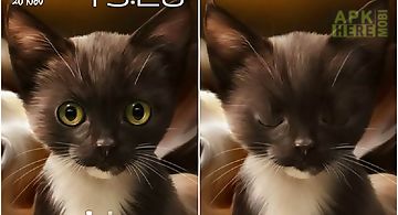 Surprised kitty Live Wallpaper