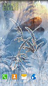 winter landscapes live wallpaper