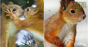 Winter squirrel Live Wallpaper