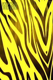 yellow zebra print  live wallpaper