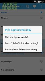 learn vietnamese phrasebook
