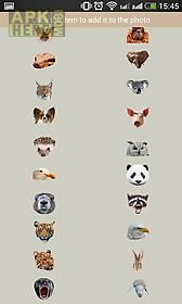 animal faces