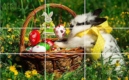 puzzle - cute bunnies