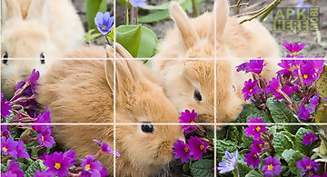 Puzzle - cute bunnies