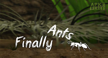 Finally ants