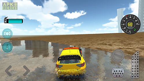 rally drive simulator