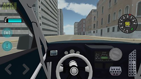 rally drive simulator