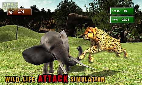 african cheetah survival sim