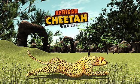 african cheetah survival sim