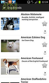 dogs breeds free