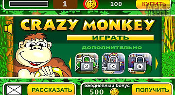 Crazy monkey slot machine