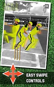 cricket simulator 3d