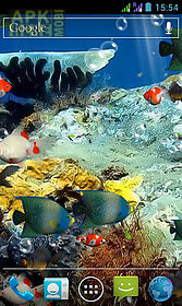 aquarium 3d  live wallpaper