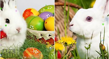 Easter bunnies 2015 Live Wallpap..