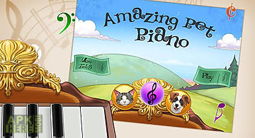 Amazing pet piano