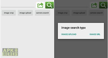Image search for google
