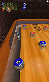 10 pin shuffle bowling