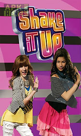 shake it up fans puzzle