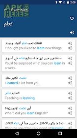 arabic english dictionary