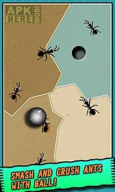 ant vs ball
