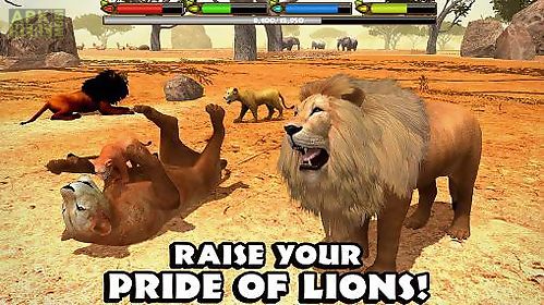ultimate lion simulator 3d