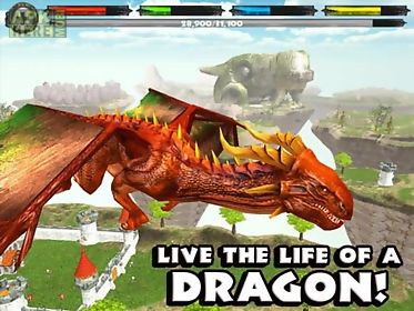 world of dragons simulator customary